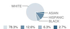 Armel Elementary School Student Race Distribution