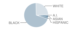 Bethel High School Student Race Distribution