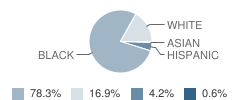 Jane H. Bryan Elementary School Student Race Distribution