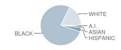 John Tyler Elementary School Student Race Distribution