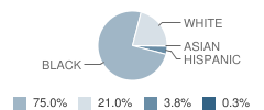 Merrimack Elementary School Student Race Distribution