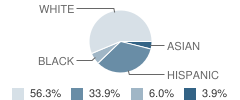 Stone Spring Elementary School Student Race Distribution