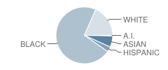 Henrico High School Student Race Distribution