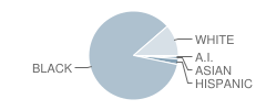 Highland Springs High School Student Race Distribution