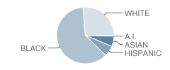 Longdale Elementary School Student Race Distribution