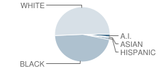 Central High School Student Race Distribution