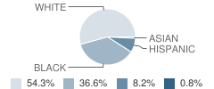 King & Queen Elementary School Student Race Distribution