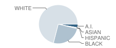 King William High School Student Race Distribution