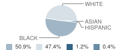 Lancaster Middle School Student Race Distribution