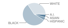 Sandusky Middle School Student Race Distribution