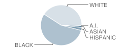 South Hill Elementary School Student Race Distribution