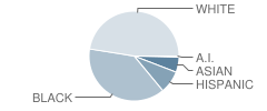 Azalea Middle School Student Race Distribution