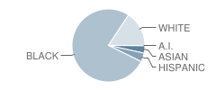 Lake Taylor High School Student Race Distribution