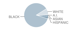 Lake Taylor Middle School Student Race Distribution