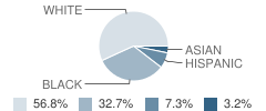 Willoughby Elementary School Student Race Distribution