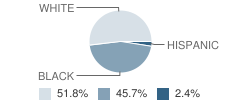 Burkeville Elementary School Student Race Distribution