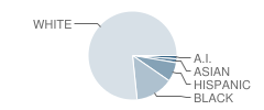 Locust Grove Elementary School Student Race Distribution