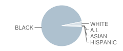 I. C. Norcom High School Student Race Distribution