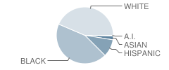 L. L. Beazley Elementary School Student Race Distribution