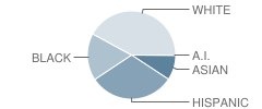 Old Bridge Elementary School Student Race Distribution