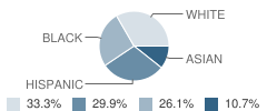 Rockledge Elementary School Student Race Distribution