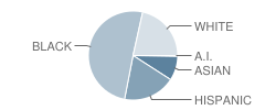 Potomac High School Student Race Distribution