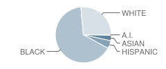 William Fleming High School Student Race Distribution