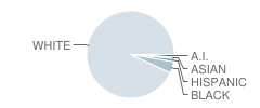 Maury River Middle School Student Race Distribution