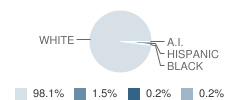 Castlewood Elementary School Student Race Distribution