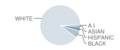 Sandy Hook Elementary School Student Race Distribution