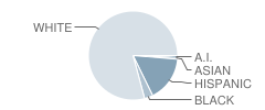 W. W. Robinson Elementary School Student Race Distribution