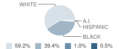 Southampton Middle School Student Race Distribution