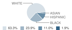 Spotswood Elementary School Student Race Distribution