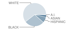 Massaponax High School Student Race Distribution