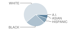 T. Benton Gayle Middle School Student Race Distribution