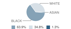 Surry County High School Student Race Distribution