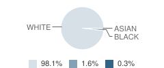 North Tazewell Elementary School Student Race Distribution