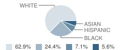 Pembroke Elementary School Student Race Distribution