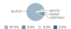 Williams Elementary School Student Race Distribution