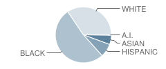 Green Run High School Student Race Distribution