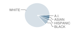 Summit Street School Student Race Distribution