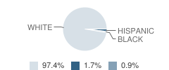 Irasburg Village School Student Race Distribution