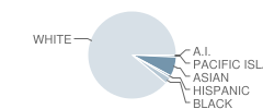 So. Burlington High School Student Race Distribution