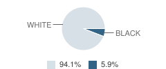 Woodbury Elementary School Student Race Distribution