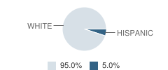 Olympic Peninsula Homeconnection School Student Race Distribution