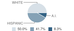 Skagit County Detention Center School Student Race Distribution