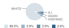 Republic Junior High School Student Race Distribution