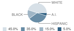 Learning Support School Student Race Distribution