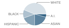 Career Link School Student Race Distribution