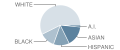 Chambers Prairie Elementary School Student Race Distribution